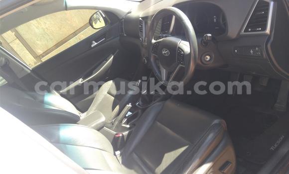 Tenga Tsaru Hyundai Tucson Chena Mota in Beitbridge in Matabeleland South Tenga Tsaru Hyundai Tucson Chena Mota in Beitbridge in Matabeleland South