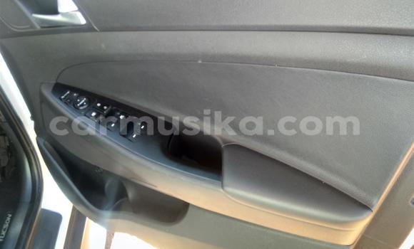 Tenga Tsaru Hyundai Tucson Chena Mota in Beitbridge in Matabeleland South Tenga Tsaru Hyundai Tucson Chena Mota in Beitbridge in Matabeleland South