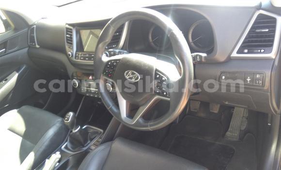 Tenga Tsaru Hyundai Tucson Chena Mota in Beitbridge in Matabeleland South Tenga Tsaru Hyundai Tucson Chena Mota in Beitbridge in Matabeleland South