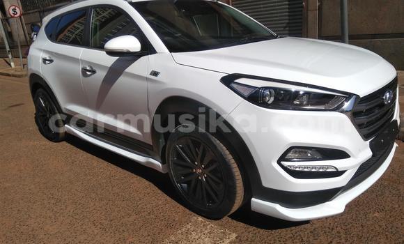 Tenga Tsaru Hyundai Tucson Chena Mota in Beitbridge in Matabeleland South Tenga Tsaru Hyundai Tucson Chena Mota in Beitbridge in Matabeleland South