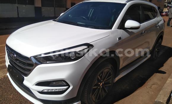 Tenga Tsaru Hyundai Tucson Chena Mota in Beitbridge in Matabeleland South Tenga Tsaru Hyundai Tucson Chena Mota in Beitbridge in Matabeleland South