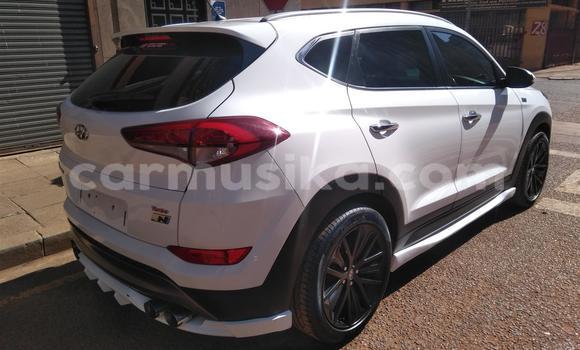 Tenga Tsaru Hyundai Tucson Chena Mota in Beitbridge in Matabeleland South Tenga Tsaru Hyundai Tucson Chena Mota in Beitbridge in Matabeleland South