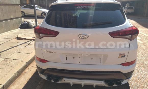 Tenga Tsaru Hyundai Tucson Chena Mota in Beitbridge in Matabeleland South Tenga Tsaru Hyundai Tucson Chena Mota in Beitbridge in Matabeleland South