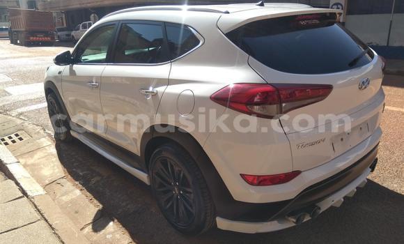 Tenga Tsaru Hyundai Tucson Chena Mota in Beitbridge in Matabeleland South Tenga Tsaru Hyundai Tucson Chena Mota in Beitbridge in Matabeleland South