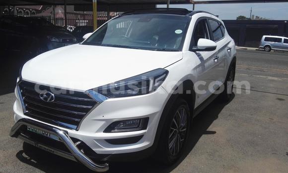 Tenga Tsaru Hyundai Tucson Chena Mota in Beitbridge in Matabeleland South Tenga Tsaru Hyundai Tucson Chena Mota in Beitbridge in Matabeleland South