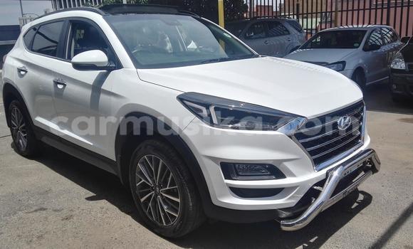 Tenga Tsaru Hyundai Tucson Chena Mota in Beitbridge in Matabeleland South Tenga Tsaru Hyundai Tucson Chena Mota in Beitbridge in Matabeleland South