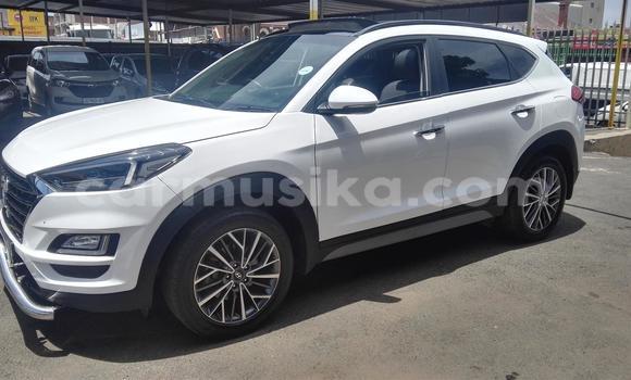 Tenga Tsaru Hyundai Tucson Chena Mota in Beitbridge in Matabeleland South Tenga Tsaru Hyundai Tucson Chena Mota in Beitbridge in Matabeleland South