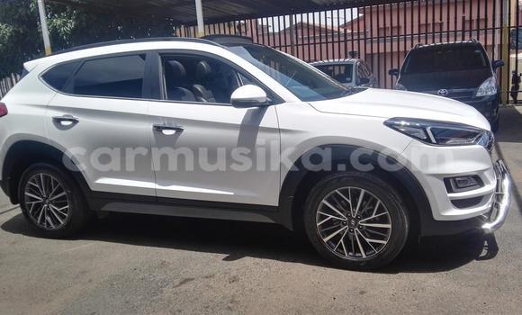 Tenga Tsaru Hyundai Tucson Chena Mota in Beitbridge in Matabeleland South Tenga Tsaru Hyundai Tucson Chena Mota in Beitbridge in Matabeleland South
