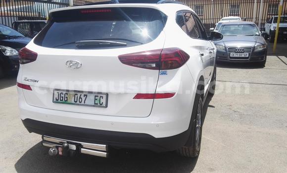 Tenga Tsaru Hyundai Tucson Chena Mota in Beitbridge in Matabeleland South Tenga Tsaru Hyundai Tucson Chena Mota in Beitbridge in Matabeleland South