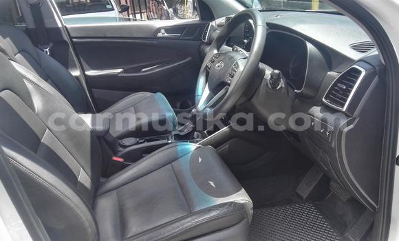 Tenga Tsaru Hyundai Tucson Chena Mota in Beitbridge in Matabeleland South Tenga Tsaru Hyundai Tucson Chena Mota in Beitbridge in Matabeleland South