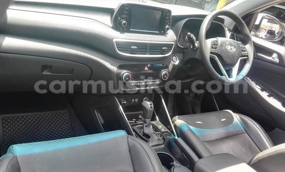 Tenga Tsaru Hyundai Tucson Chena Mota in Beitbridge in Matabeleland South Tenga Tsaru Hyundai Tucson Chena Mota in Beitbridge in Matabeleland South