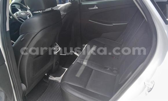 Tenga Tsaru Hyundai Tucson Chena Mota in Beitbridge in Matabeleland South Tenga Tsaru Hyundai Tucson Chena Mota in Beitbridge in Matabeleland South