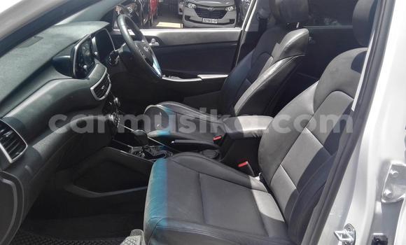 Tenga Tsaru Hyundai Tucson Chena Mota in Beitbridge in Matabeleland South Tenga Tsaru Hyundai Tucson Chena Mota in Beitbridge in Matabeleland South