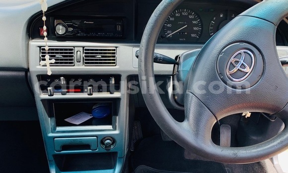 Buy Used Toyota Altezza Silver Car in Beitbridge in Matabeleland South Buy Used Toyota Altezza Silver Car in Beitbridge in Matabeleland South