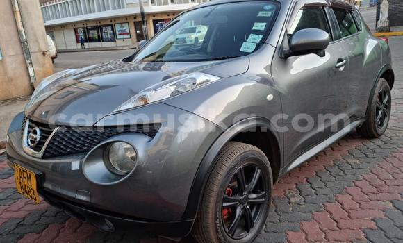 Nunua Ilio tumika Nissan Juke Nyingine Gari ndani ya Borrowdale nchini Harare