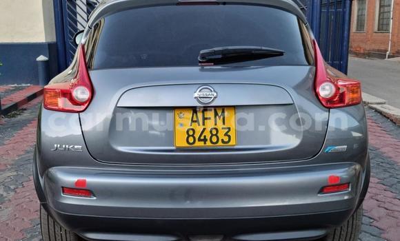 Acheter Occasion Voiture Nissan Juke Autre à Borrowdale, Harare Acheter Occasion Voiture Nissan Juke Autre à Borrowdale, Harare