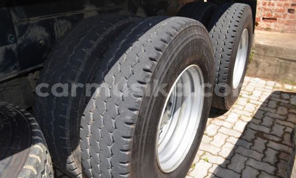 Buy Used Isuzu Trooper White Car in Harare in Harare Buy Used Isuzu Trooper White Car in Harare in Harare