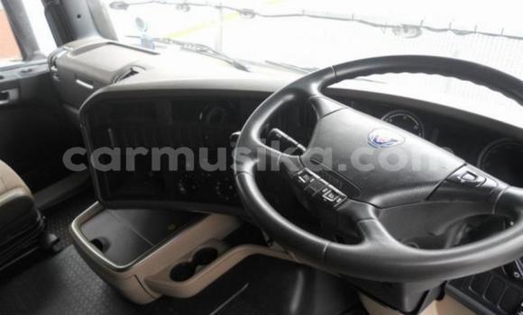 Buy Used Scania R420 White Truck in Harare in Harare Buy Used Scania R420 White Truck in Harare in Harare