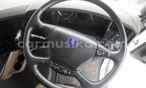 Buy Used Scania R420 White Truck in Harare in Harare Buy Used Scania R420 White Truck in Harare in Harare