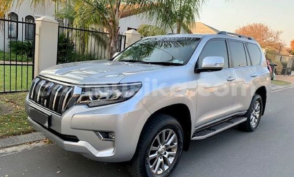 Acheter Occasion Voiture Toyota Land Cruiser Prado Gris à Borrowdale, Harare