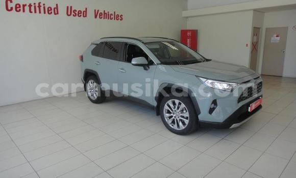 Acheter Occasion Voiture Toyota RAV4 Gris à Beitbridge, Matabeleland South