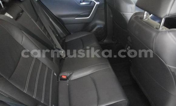 Tenga Tsaru Toyota RAV4 Sirivha Mota in Beitbridge in Matabeleland South Tenga Tsaru Toyota RAV4 Sirivha Mota in Beitbridge in Matabeleland South