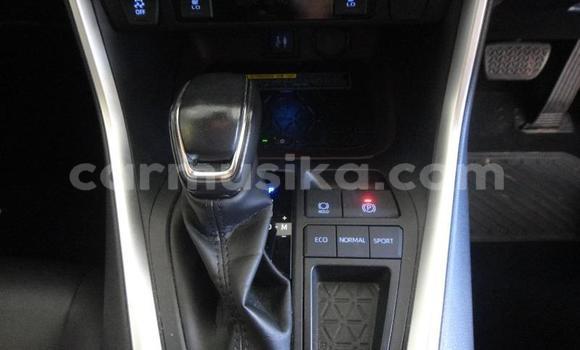 Tenga Tsaru Toyota RAV4 Sirivha Mota in Beitbridge in Matabeleland South Tenga Tsaru Toyota RAV4 Sirivha Mota in Beitbridge in Matabeleland South