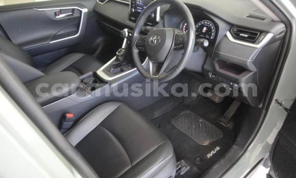 Tenga Tsaru Toyota RAV4 Sirivha Mota in Beitbridge in Matabeleland South Tenga Tsaru Toyota RAV4 Sirivha Mota in Beitbridge in Matabeleland South