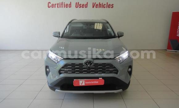 Tenga Tsaru Toyota RAV4 Sirivha Mota in Beitbridge in Matabeleland South Tenga Tsaru Toyota RAV4 Sirivha Mota in Beitbridge in Matabeleland South