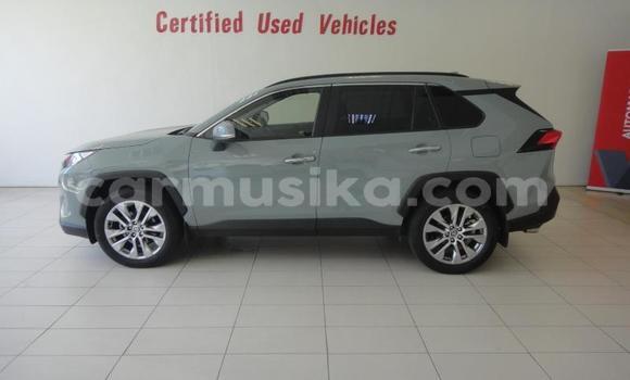 Tenga Tsaru Toyota RAV4 Sirivha Mota in Beitbridge in Matabeleland South Tenga Tsaru Toyota RAV4 Sirivha Mota in Beitbridge in Matabeleland South