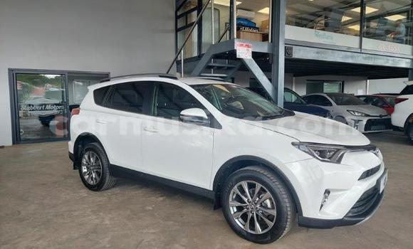 Nunua Ilio tumika Toyota RAV4 Nyeupe Gari ndani ya Beitbridge nchini Matabeleland Kusini