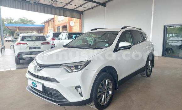 Tenga Tsaru Toyota RAV4 Chena Mota in Beitbridge in Matabeleland South Tenga Tsaru Toyota RAV4 Chena Mota in Beitbridge in Matabeleland South