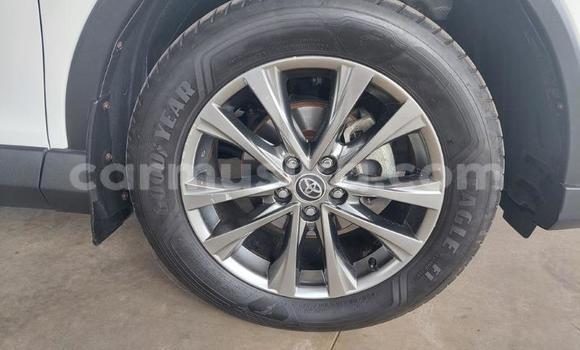 Tenga Tsaru Toyota RAV4 Chena Mota in Beitbridge in Matabeleland South Tenga Tsaru Toyota RAV4 Chena Mota in Beitbridge in Matabeleland South