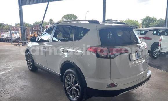 Tenga Tsaru Toyota RAV4 Chena Mota in Beitbridge in Matabeleland South Tenga Tsaru Toyota RAV4 Chena Mota in Beitbridge in Matabeleland South