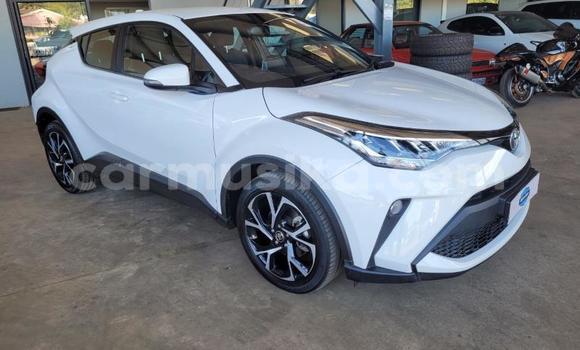 Buy Used Toyota C-HR White Car in Beitbridge in Matabeleland South