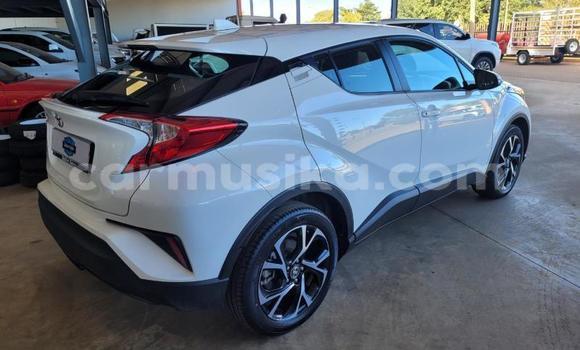 Acheter Occasion Voiture Toyota C-HR Blanc à Beitbridge, Matabeleland South Acheter Occasion Voiture Toyota C-HR Blanc à Beitbridge, Matabeleland South