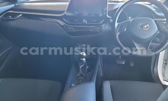 Acheter Occasion Voiture Toyota C-HR Blanc à Beitbridge, Matabeleland South Acheter Occasion Voiture Toyota C-HR Blanc à Beitbridge, Matabeleland South