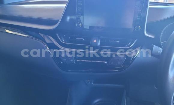 Acheter Occasion Voiture Toyota C-HR Blanc à Beitbridge, Matabeleland South Acheter Occasion Voiture Toyota C-HR Blanc à Beitbridge, Matabeleland South