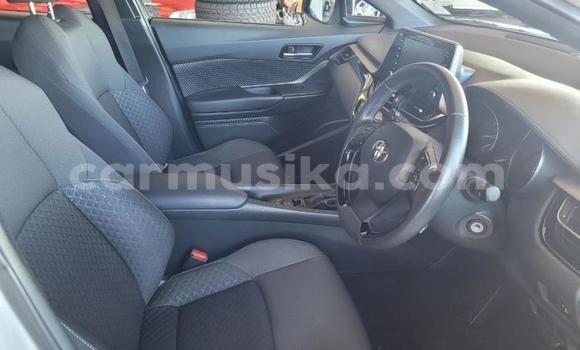 Acheter Occasion Voiture Toyota C-HR Blanc à Beitbridge, Matabeleland South Acheter Occasion Voiture Toyota C-HR Blanc à Beitbridge, Matabeleland South