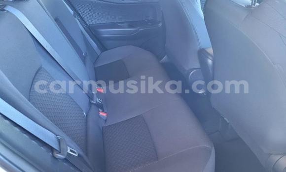 Acheter Occasion Voiture Toyota C-HR Blanc à Beitbridge, Matabeleland South Acheter Occasion Voiture Toyota C-HR Blanc à Beitbridge, Matabeleland South