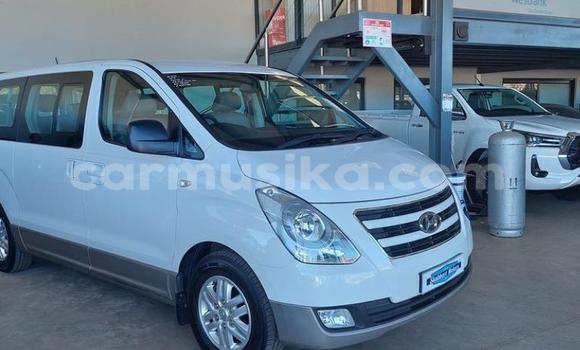 Acheter Occasion Voiture Hyundai H1 Blanc à Beitbridge, Matabeleland South