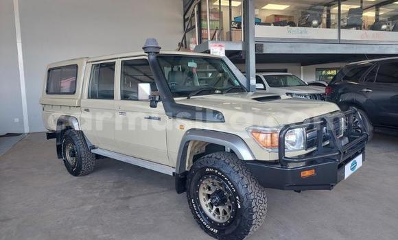 Acheter Occasion Voiture Toyota Land Cruiser Gris à Beitbridge, Matabeleland South