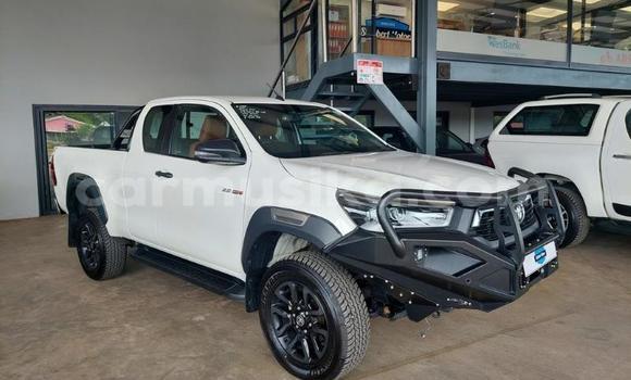 Tenga Tsaru Toyota Hilux Chena Mota in Beitbridge in Matabeleland South