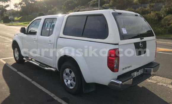 Buy Used Nissan Navara White Car in Beitbridge in Matabeleland South