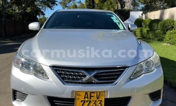 Nunua Ilio tumika Toyota Mark X Fedha Gari ndani ya Borrowdale nchini Harare