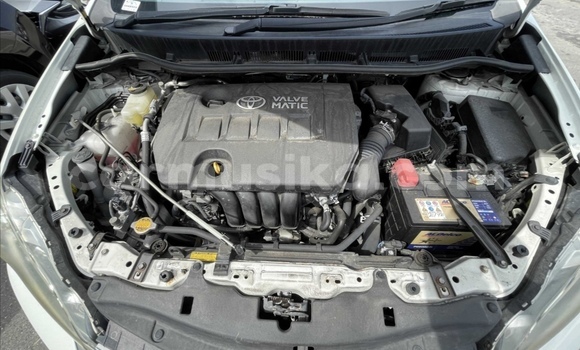 Buy Used Toyota Wish White Car in Beitbridge in Matabeleland South Buy Used Toyota Wish White Car in Beitbridge in Matabeleland South