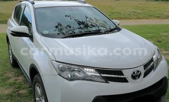 Acheter Occasion Voiture Toyota RAV4 Blanc à Beitbridge, Matabeleland South