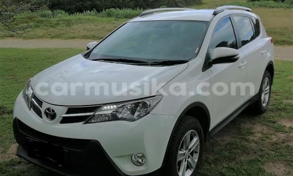 Acheter Occasion Voiture Toyota RAV4 Blanc à Beitbridge, Matabeleland South Acheter Occasion Voiture Toyota RAV4 Blanc à Beitbridge, Matabeleland South