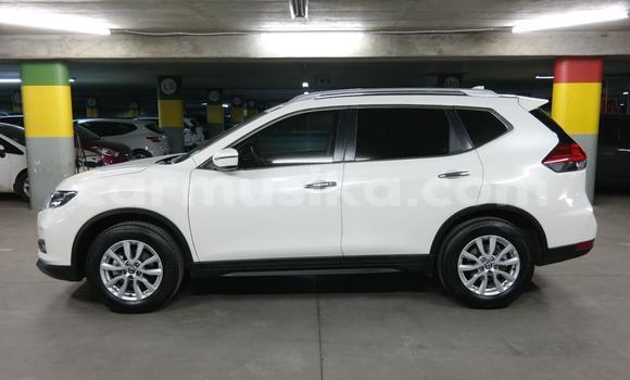 Acheter Occasion Voiture Nissan X–Trail Blanc à Beitbridge, Matabeleland South Acheter Occasion Voiture Nissan X–Trail Blanc à Beitbridge, Matabeleland South