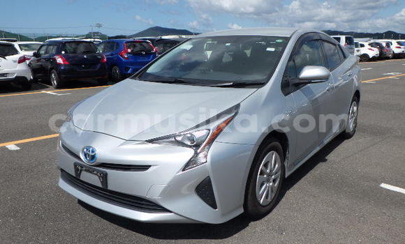 Buy Used Toyota Prius Silver Car in Beitbridge in Matabeleland South Buy Used Toyota Prius Silver Car in Beitbridge in Matabeleland South